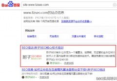 误区解读，网站降权无需看SITE命令，