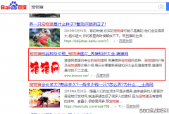 SEO培训案例：万变不离其宗的SEO排名